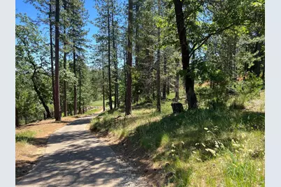 1712 The Point Road, Meadow Vista, CA 95722 - Photo 13