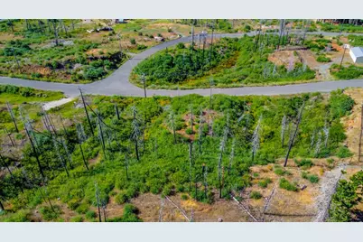 7676 Winding Way, Grizzly Flats, CA 95636 - Photo 11