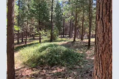 12043 Pasquale Road, Nevada City, CA 95959 - Photo 27