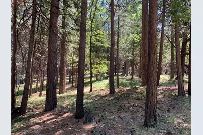 12043 Pasquale Road, Nevada City, CA 95959 - Photo 3