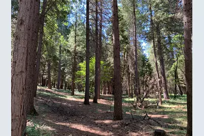 12043 Pasquale Road, Nevada City, CA 95959 - Photo 19