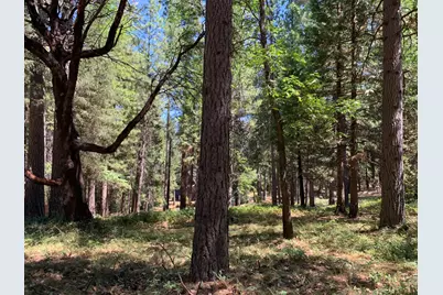 12043 Pasquale Road, Nevada City, CA 95959 - Photo 7