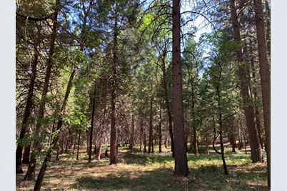 12043 Pasquale Road, Nevada City, CA 95959 - Photo 9