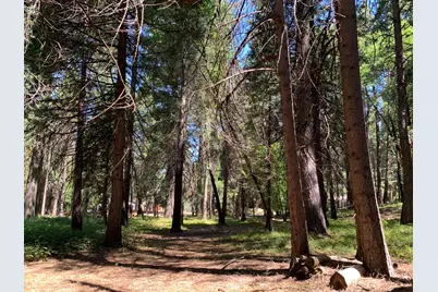 12043 Pasquale Road, Nevada City, CA 95959 - Photo 15