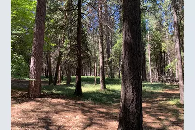 12043 Pasquale Road, Nevada City, CA 95959 - Photo 17