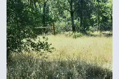 48 Rices Texas Hill Road, Oregon House, CA 95962 - Photo 1