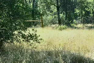 48 Rices Texas Hill Rd, Oregon House, CA 95962 - Photo 1