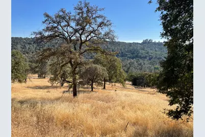 7607 S White Oak Lane, Browns Valley, CA 95918 - Photo 15