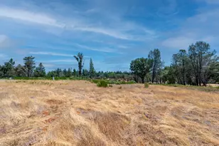 16266 Newtonian Way, Grass Valley, CA 95945 - Photo 1