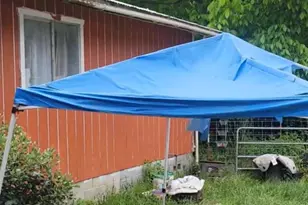 21260 State Hwy 36, Carlotta, CA 95528 - Photo 3