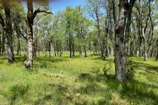 11560 Still Rd, Grass Valley, CA 95949 - Photo 1