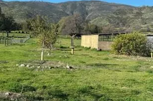 16250 County Rd 56, Guinda, CA 95637 - Photo 17