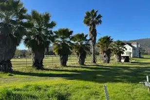 16250 County Rd 56, Guinda, CA 95637 - Photo 23