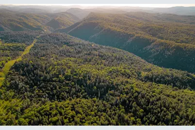 15793 Black Prince Road, Pioneer, CA 95666 - Photo 9