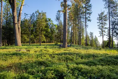 15793 Black Prince Road, Pioneer, CA 95666 - Photo 5