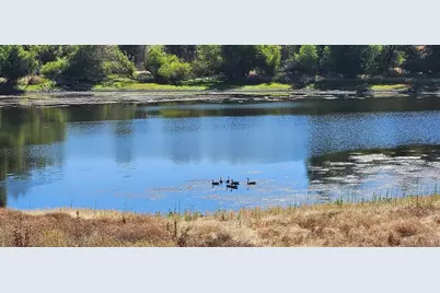 17 Chukar Drive, Wallace, CA 95254 - Photo 81