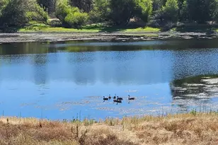 17 Chukar Dr, Wallace, CA 95254 - Photo 81