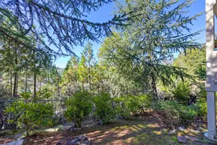 308 Canyon Creek Dr, Colfax, CA 95713 - Photo 43
