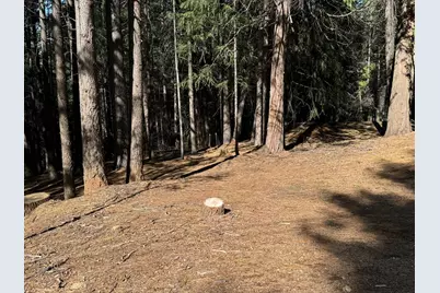 5771 Lupin Lane, Pollock Pines, CA 95726 - Photo 3