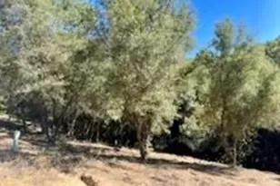 6700 Patsy Cline Ln, Somerset, CA 95684 - Photo 1