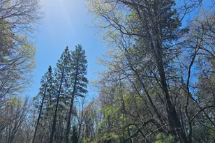 250 Acorn Wy, West Point, CA 95255 - Photo 21