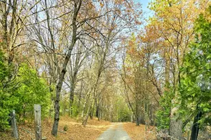 250 Acorn Wy, West Point, CA 95255 - Photo 19