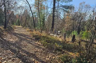 250 Acorn Wy, West Point, CA 95255 - Photo 23