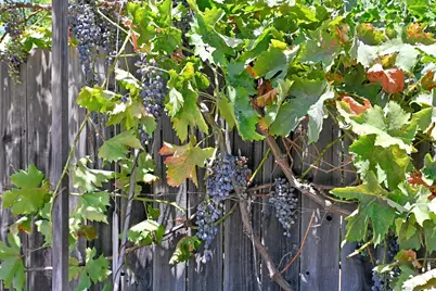 2661 Imperial Way, Yuba City, CA 95993 - Photo 9