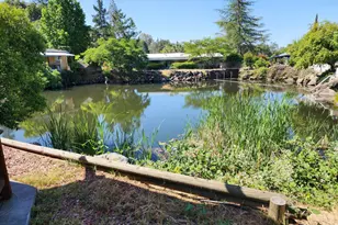 Hillcrest Dr, Newcastle, CA 95658 - Photo 47