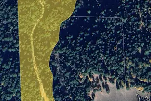 200 Craycroft Ridge Rd, Downieville, CA 95936 - Photo 39