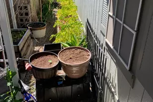 Brookdale Dr, Sacramento, CA 95834 - Photo 21