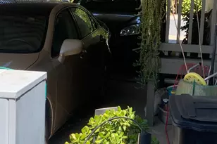 Brookdale Dr, Sacramento, CA 95834 - Photo 25