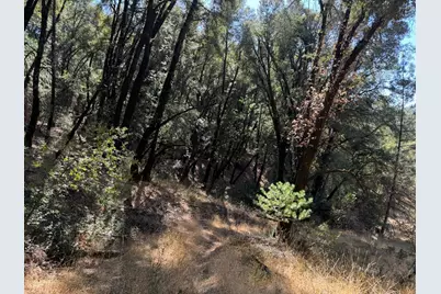 15539 Norvin Way, Grass Valley, CA 95949 - Photo 7