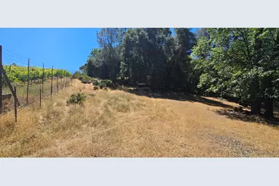 7040 Idlewild Road, Somerset, CA 95684 - Photo 3