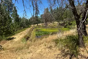 4721 Jefferys, Georgetown, CA 95634 - Photo 41