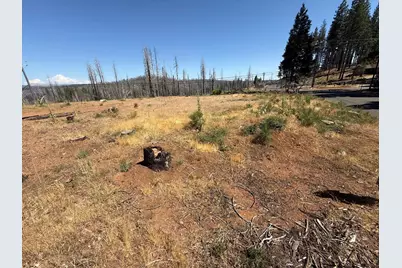 9981 Grizzly Flat Road, Grizzly Flats, CA 95636 - Photo 3