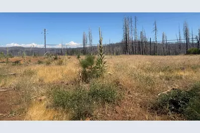 9981 Grizzly Flat Road, Grizzly Flats, CA 95636 - Photo 5