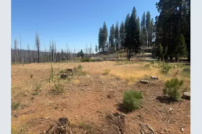 9981 Grizzly Flat Road, Grizzly Flats, CA 95636 - Photo 9