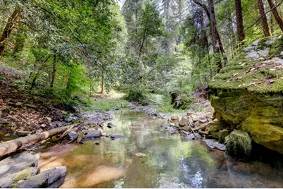 19455 Hogback Road, Nevada City, CA 95959 - Photo 3
