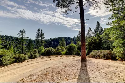 19455 Hogback Road, Nevada City, CA 95959 - Photo 11
