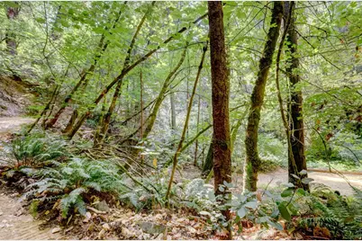 19455 Hogback Road, Nevada City, CA 95959 - Photo 77