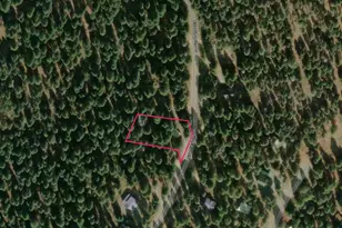 351 Silvertip Springs Dr, La Porte, CA 95981 - Photo 57