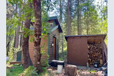 6800 Elk Springs Drive, McCloud, CA 96057 - Photo 5