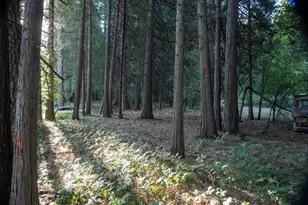 33260 Main St, Dutch Flat, CA 95714 - Photo 1