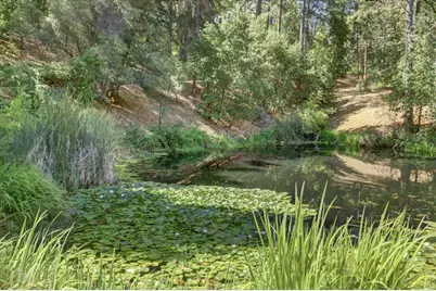 13118 Cement Hill Road, Nevada City, CA 95959 - Photo 91