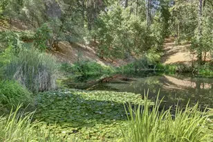 13118 Cement Hill Rd, Nevada City, CA 95959 - Photo 91