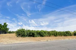 8275 E Orchard Rd, Acampo, CA 95220 - Photo 5