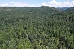 11877 Incline Shaft, Nevada City, CA 95959 - Photo 85