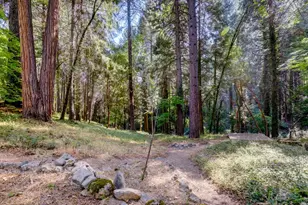 11877 Incline Shaft, Nevada City, CA 95959 - Photo 89