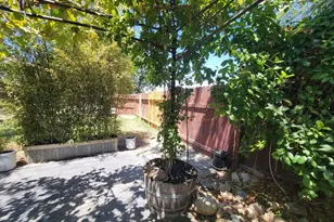 507 Lady Slipper Ln, Newman, CA 95360 - Photo 41